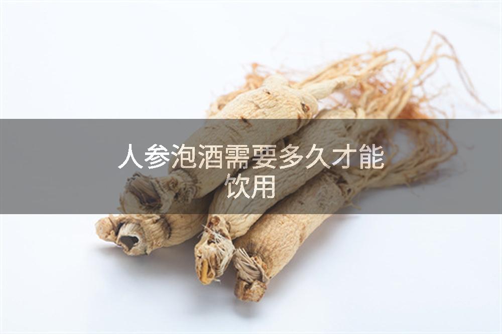 人参泡酒需要多久才能饮用