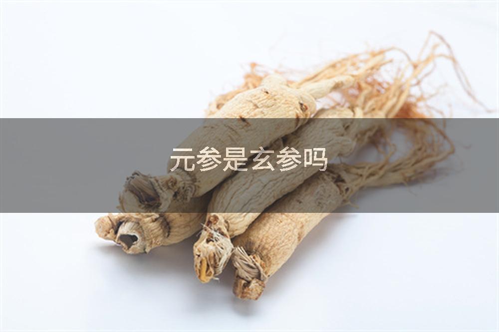 元参是玄参吗