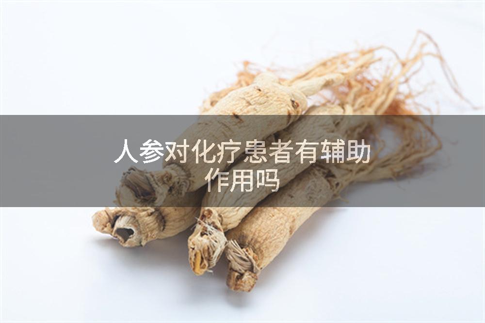 人参对化疗患者有辅助作用吗