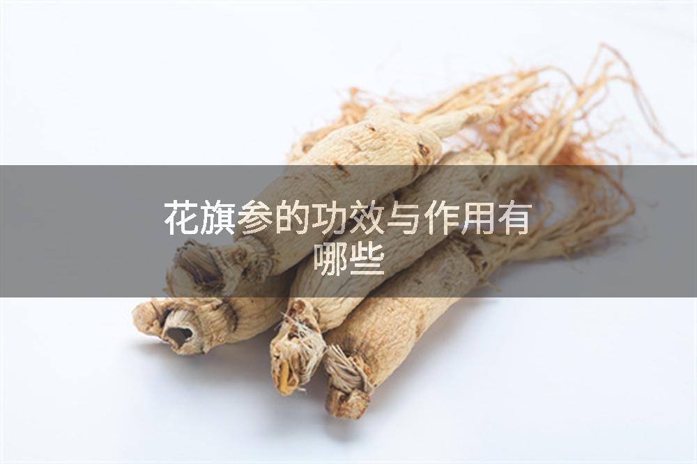 花旗参的功效与作用有哪些