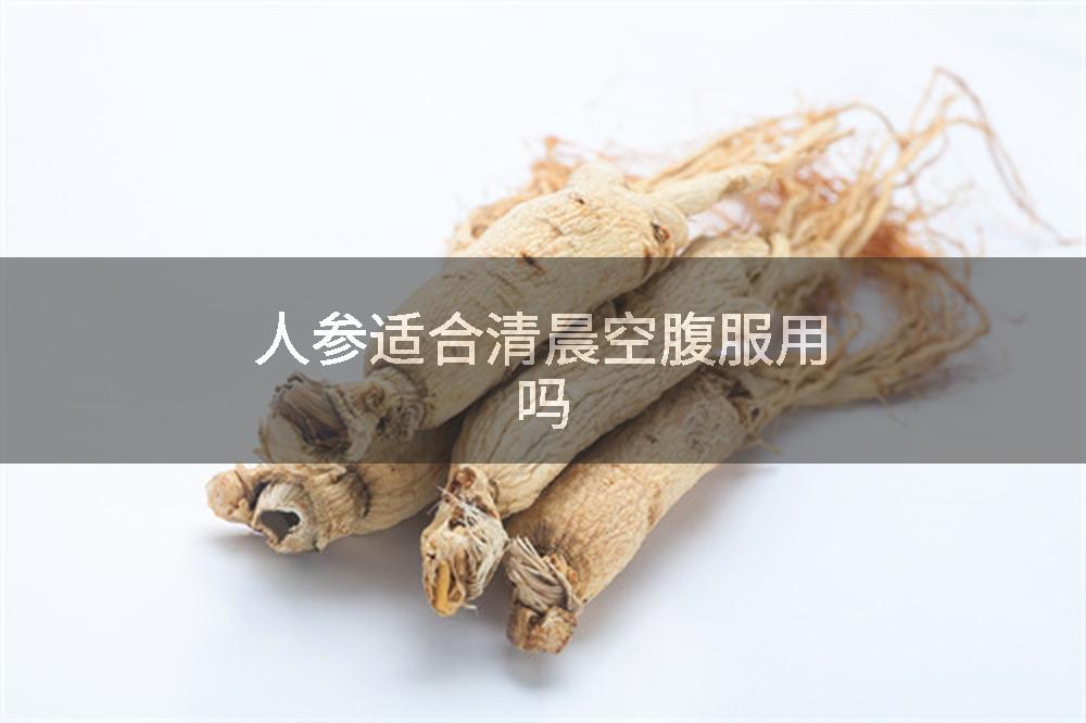 人参适合清晨空腹服用吗