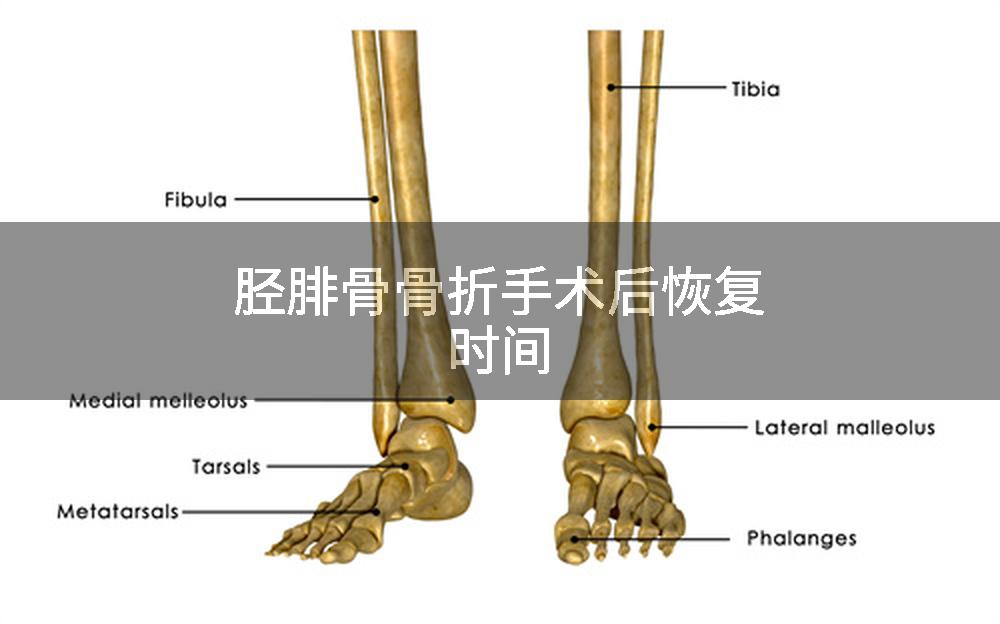 胫腓骨骨折手术后恢复时间