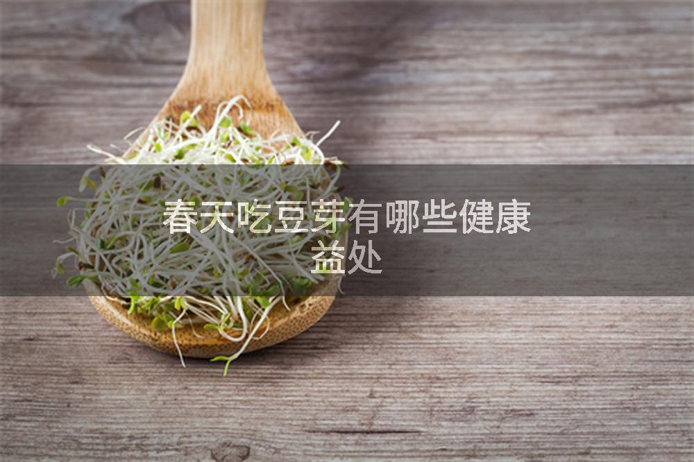 春天吃豆芽有哪些健康益处