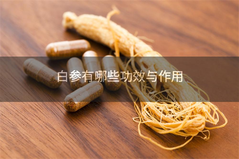 白参有哪些功效与作用