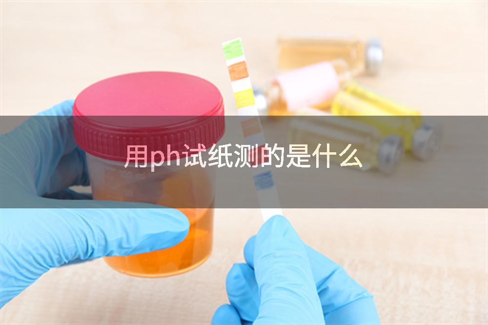 用ph试纸测的是什么