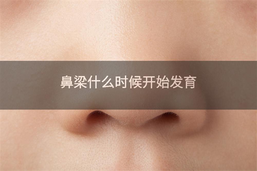 鼻梁什么时候开始发育