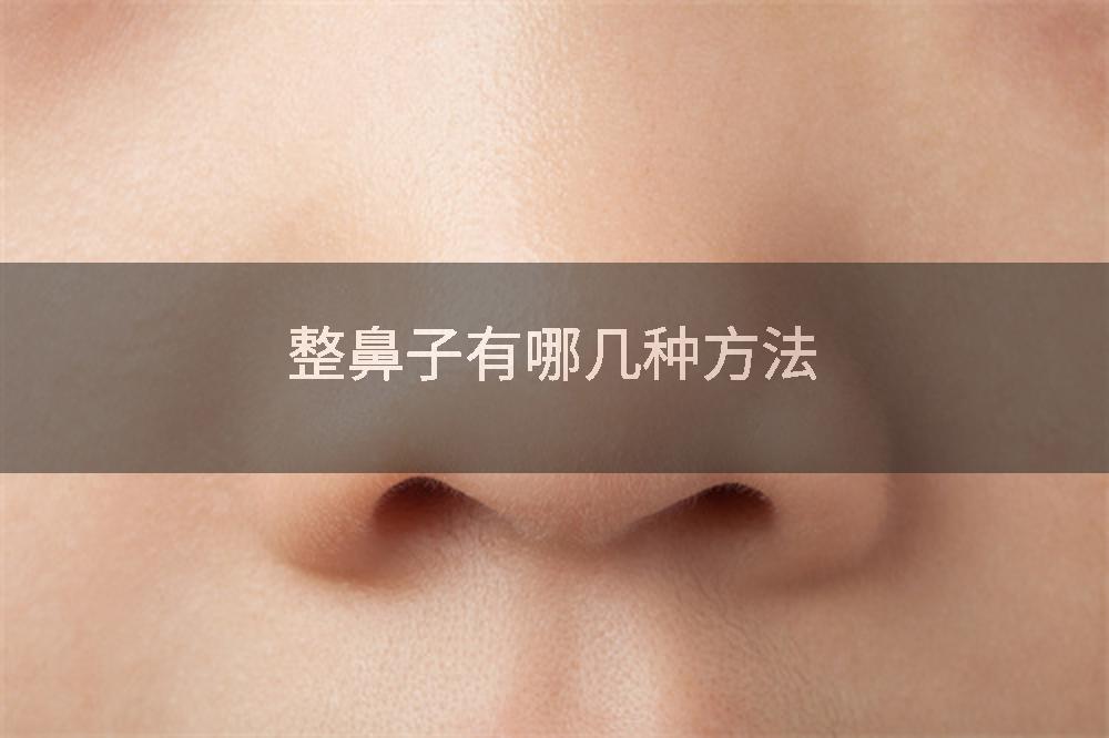 整鼻子有哪几种方法