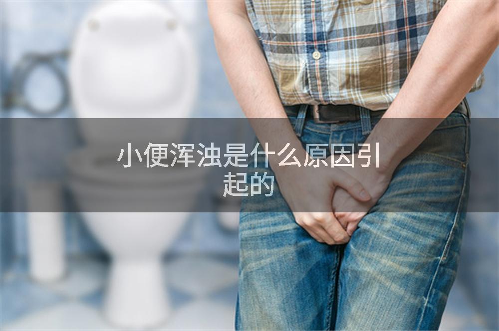 小便浑浊是什么原因引起的