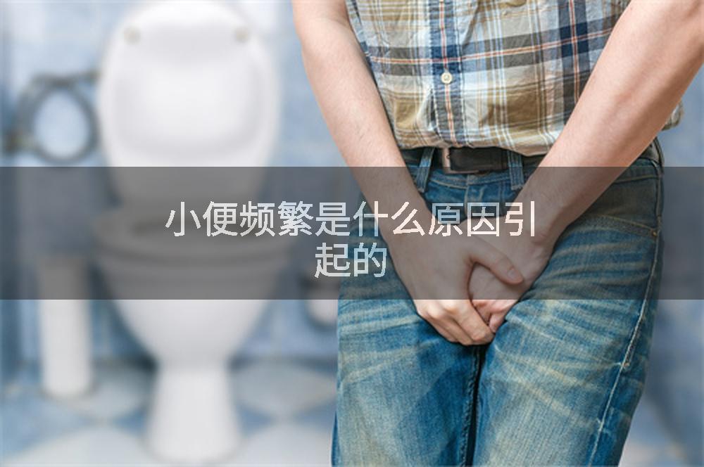 小便频繁是什么原因引起的
