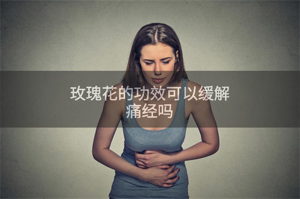 玫瑰花的功效可以缓解痛经吗