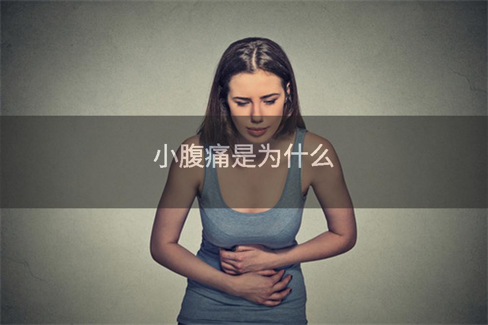 小腹痛是为什么