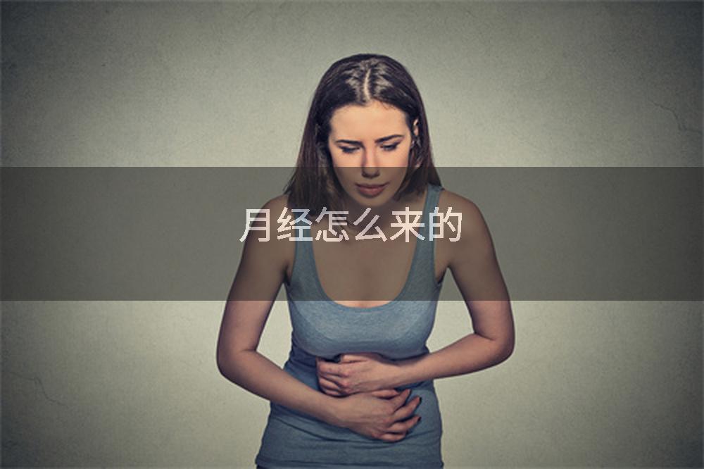 月经怎么来的