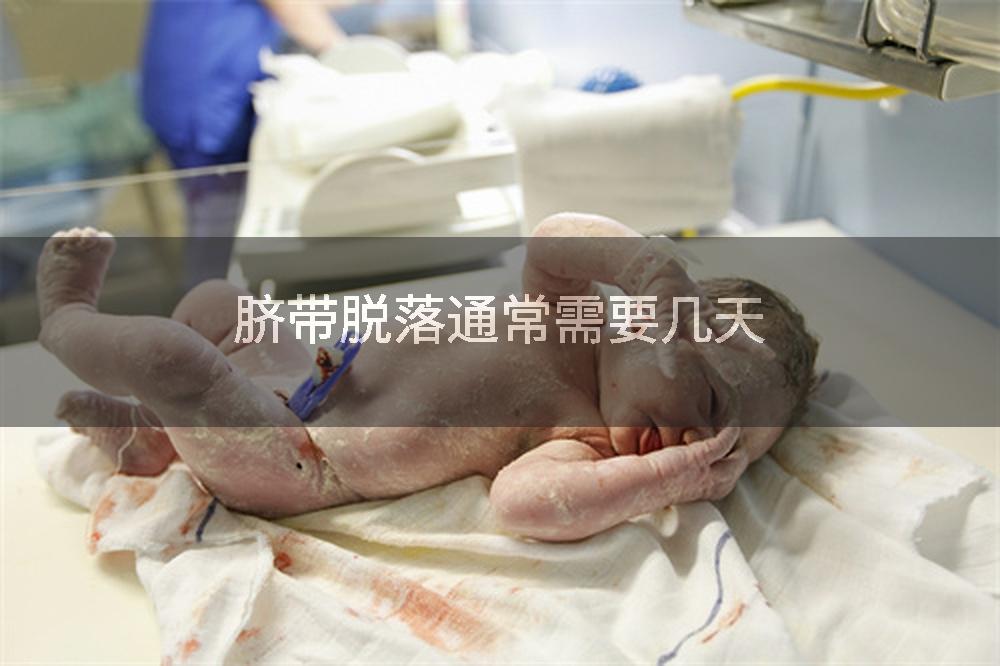 脐带脱落通常需要几天