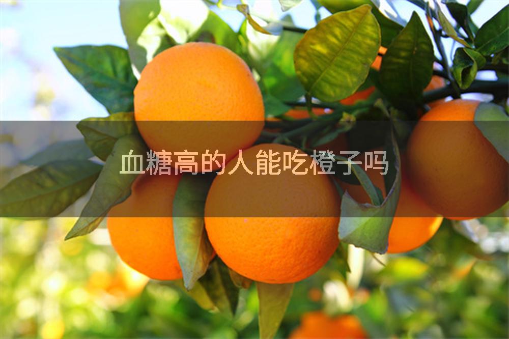 血糖高的人能吃橙子吗