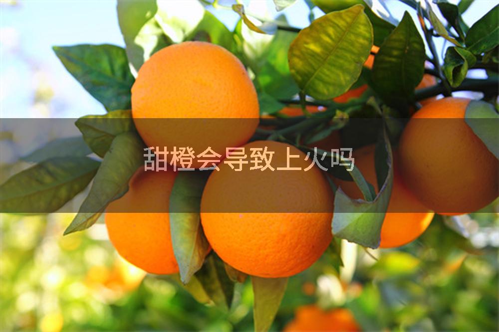 甜橙会导致上火吗