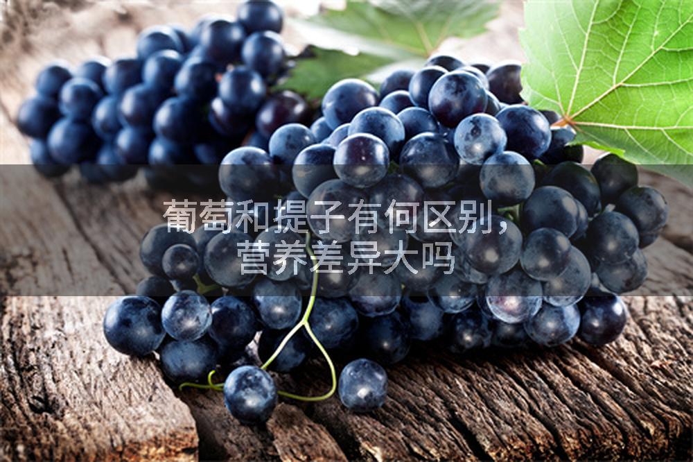 葡萄和提子有何区别，营养差异大吗