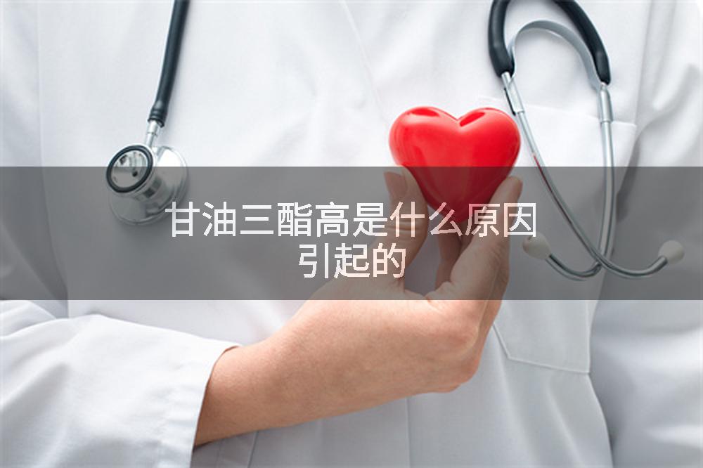 甘油三酯高是什么原因引起的