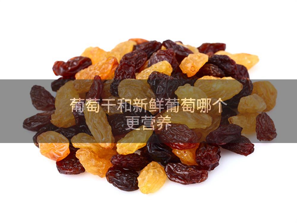 葡萄干和新鲜葡萄哪个更营养