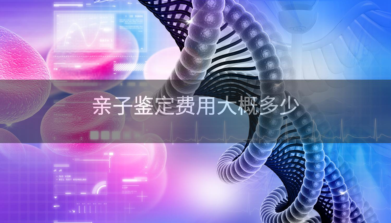 亲子鉴定费用大概多少