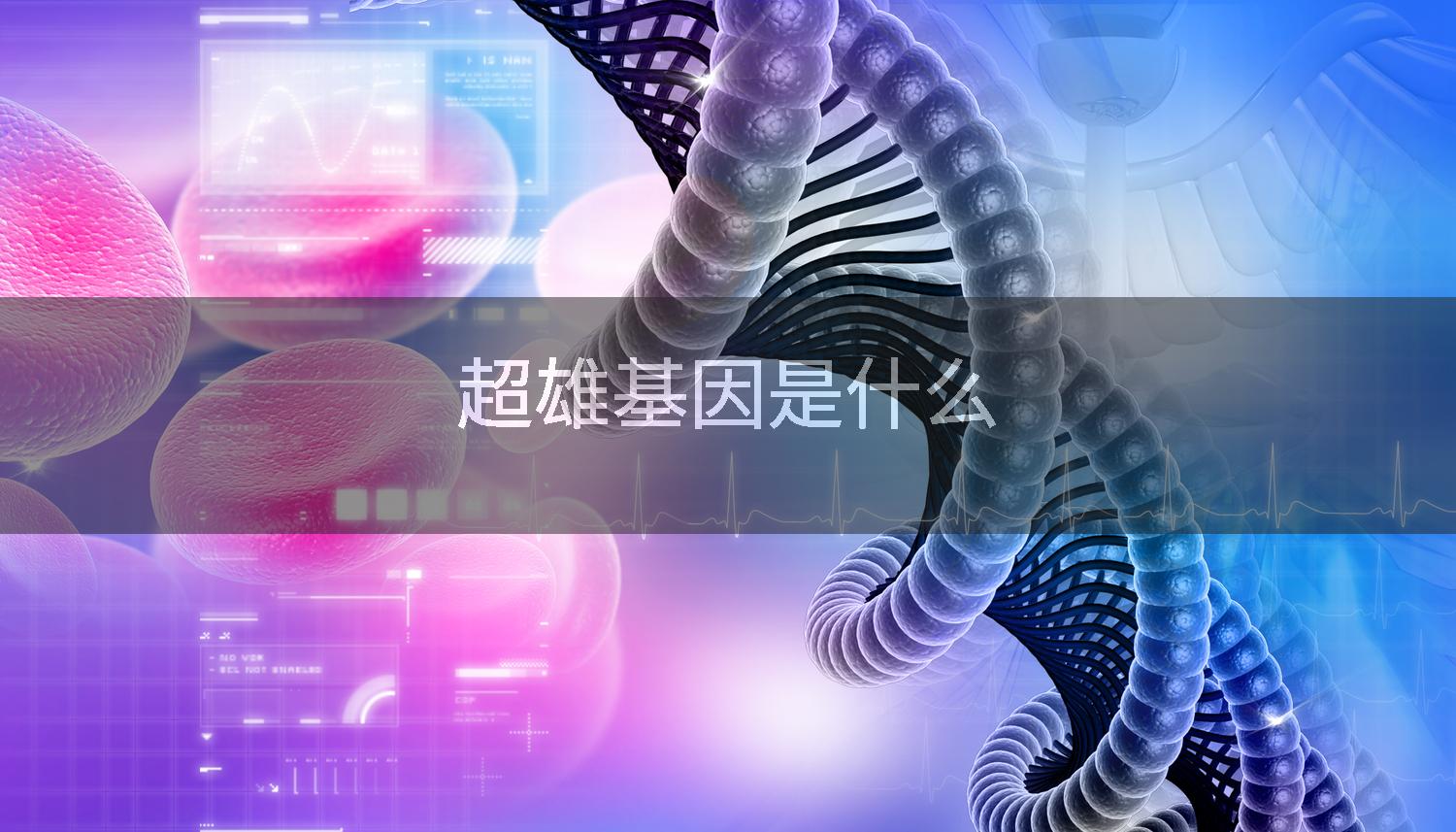 超雄基因是什么