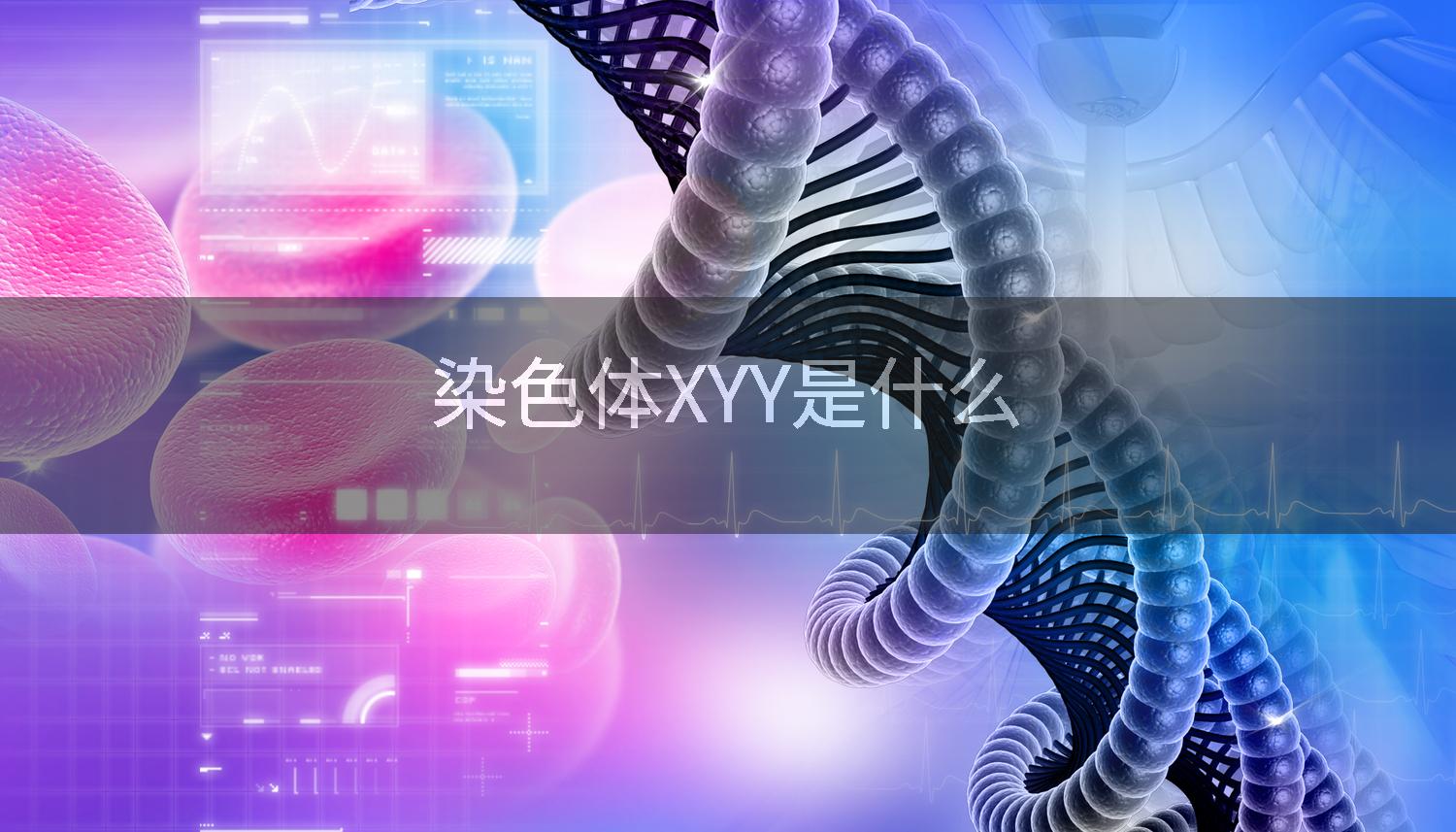 染色体XYY是什么