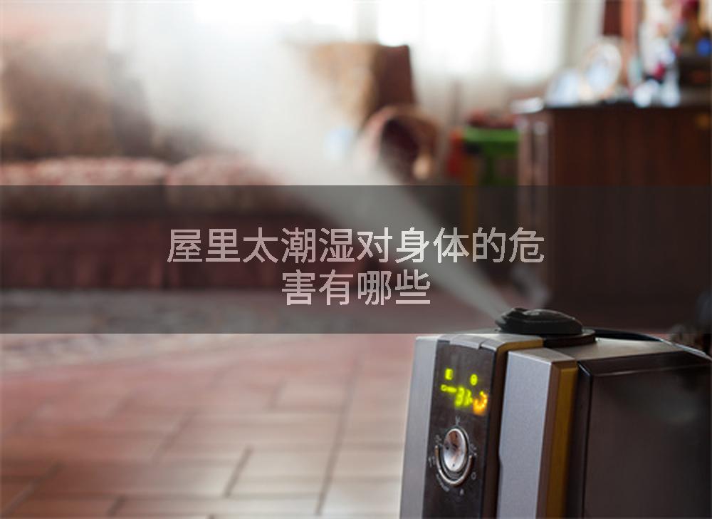 屋里太潮湿对身体的危害有哪些