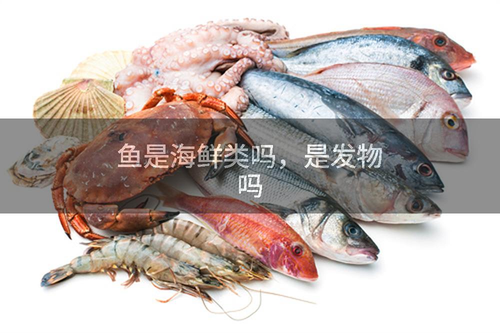 鱼是海鲜类吗，是发物吗