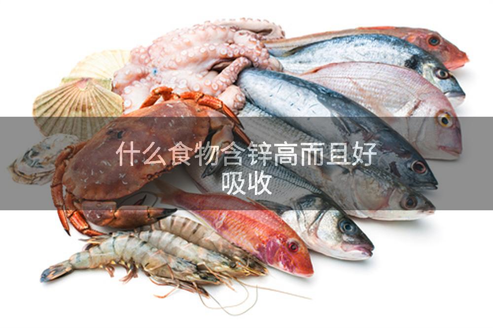 什么食物含锌高而且好吸收