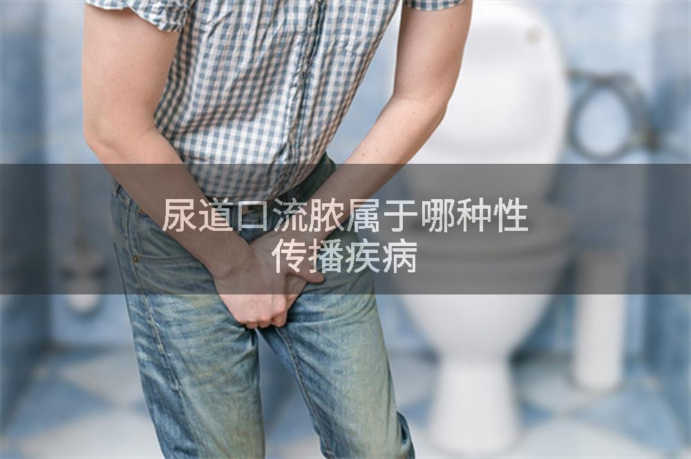 尿道口流脓属于哪种性传播疾病