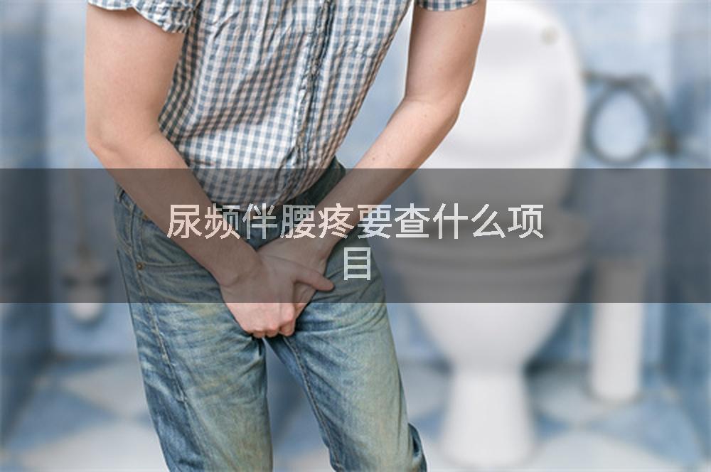 尿频伴腰疼要查什么项目