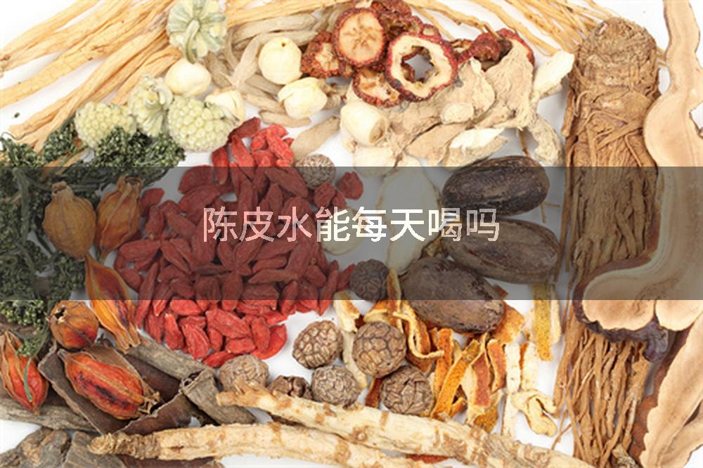 陈皮水能每天喝吗
