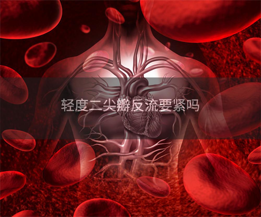 轻度二尖瓣反流要紧吗