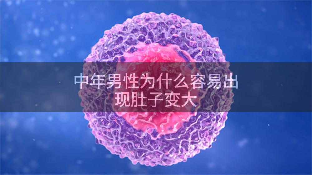 中年男性为什么容易出现肚子变大