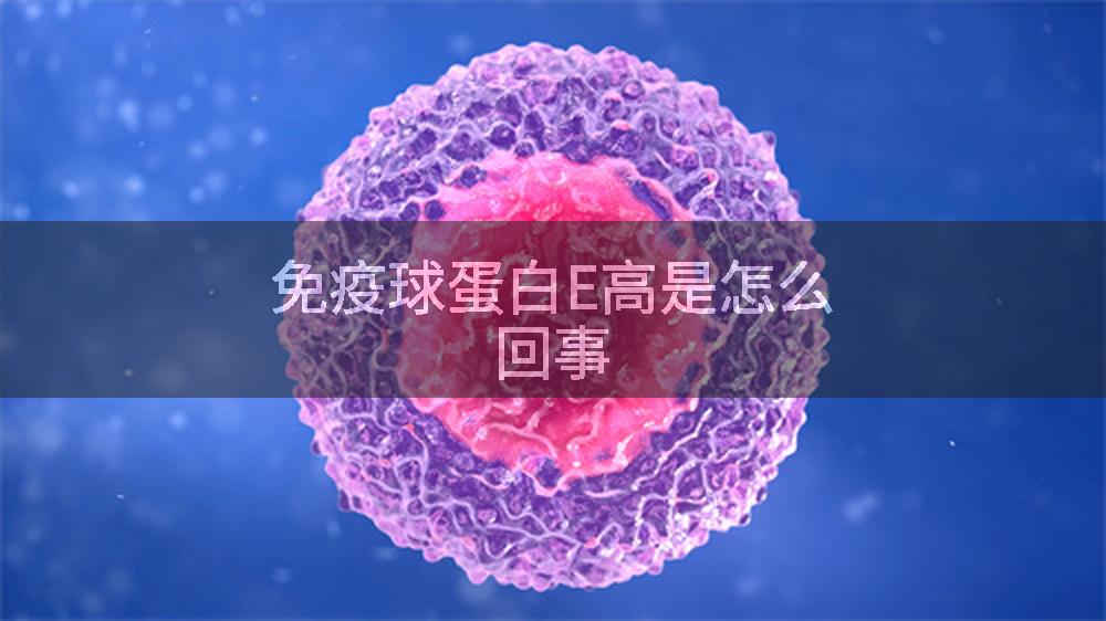 免疫球蛋白E高是怎么回事