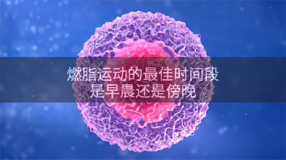 燃脂运动的最佳时间段是早晨还是傍晚