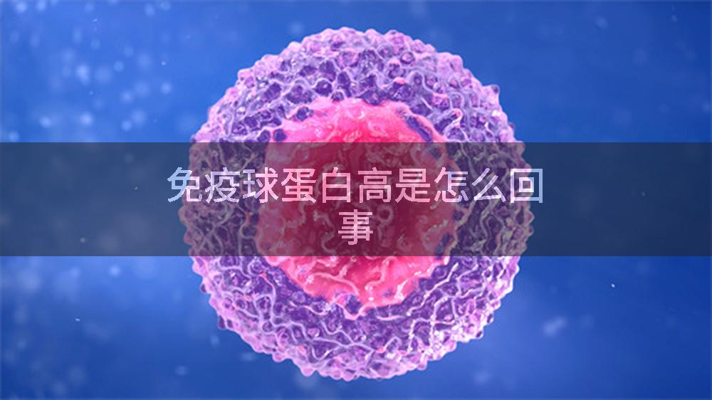免疫球蛋白高是怎么回事