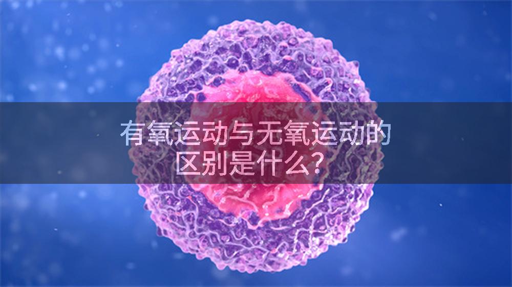 有氧运动与无氧运动的区别是什么？