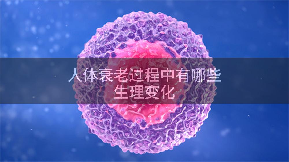 人体衰老过程中有哪些生理变化