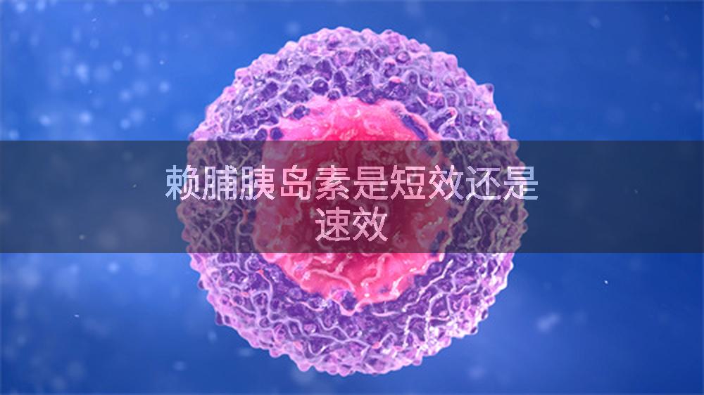 赖脯胰岛素是短效还是速效