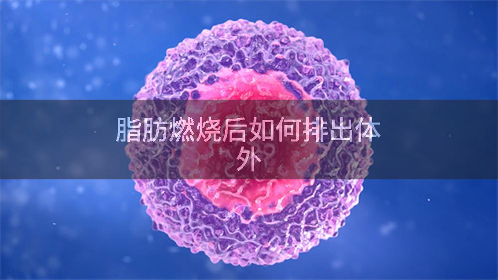 脂肪燃烧后如何排出体外
