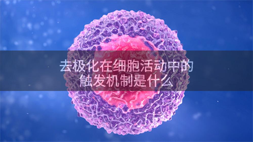 去极化在细胞活动中的触发机制是什么