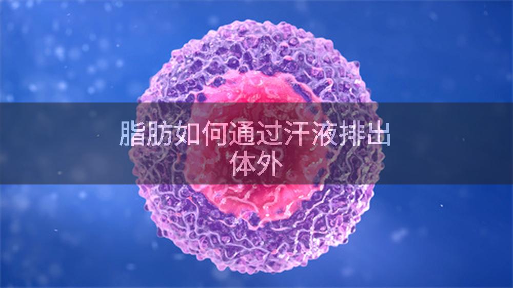 脂肪如何通过汗液排出体外