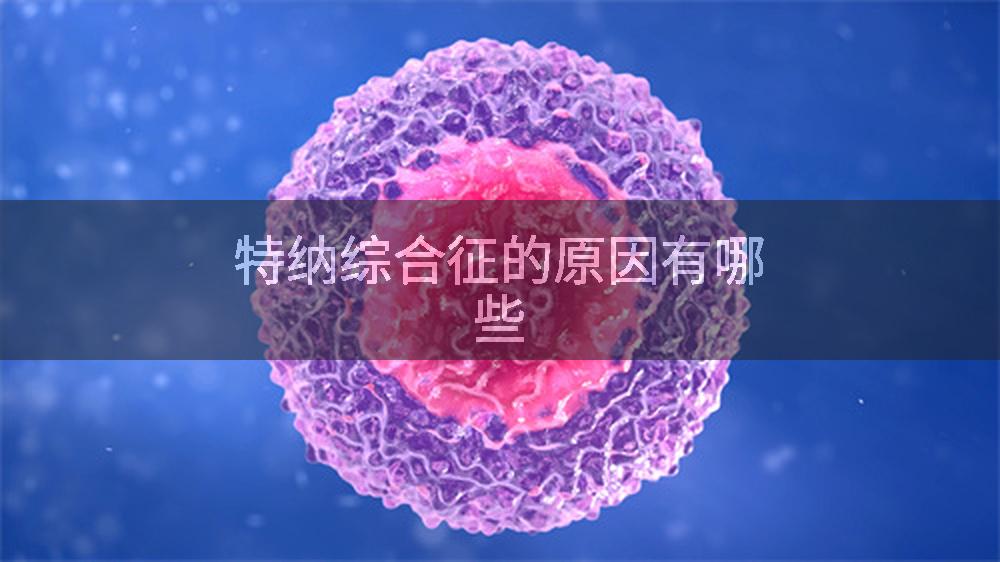 特纳综合征的原因有哪些