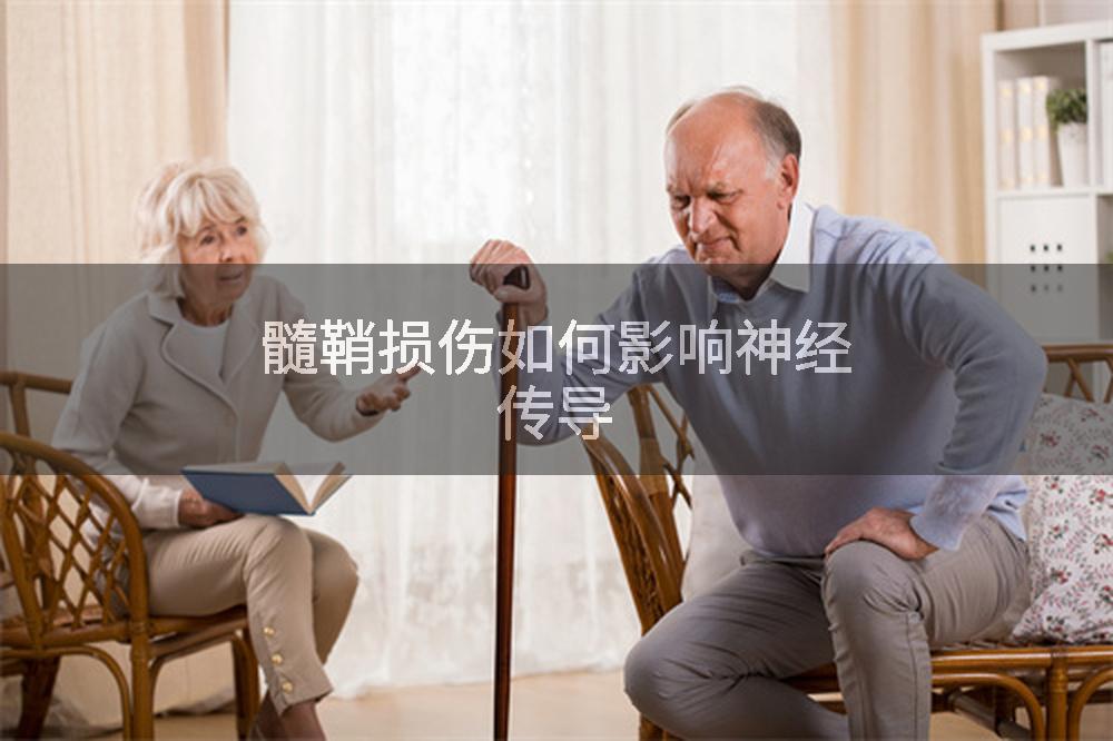 髓鞘损伤如何影响神经传导