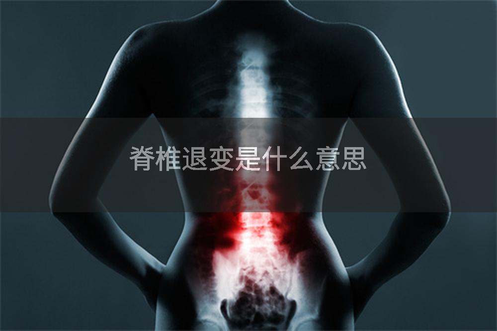 脊椎退变是什么意思