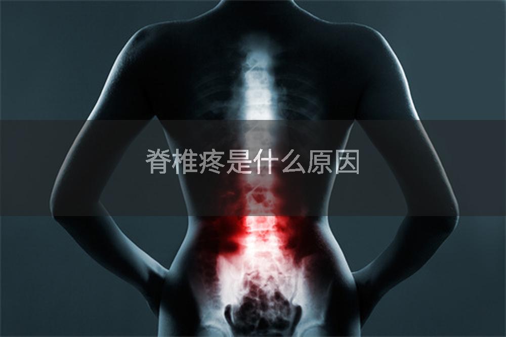 脊椎疼是什么原因