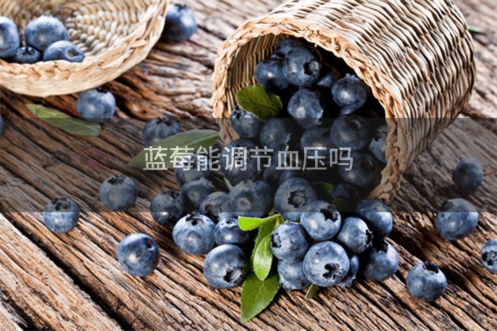 蓝莓能调节血压吗