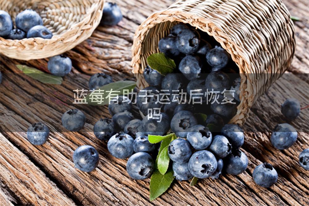 蓝莓有助于运动后恢复吗