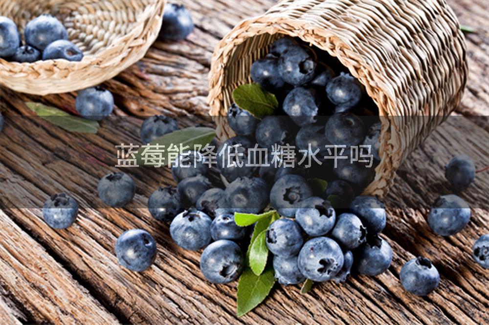 蓝莓能降低血糖水平吗