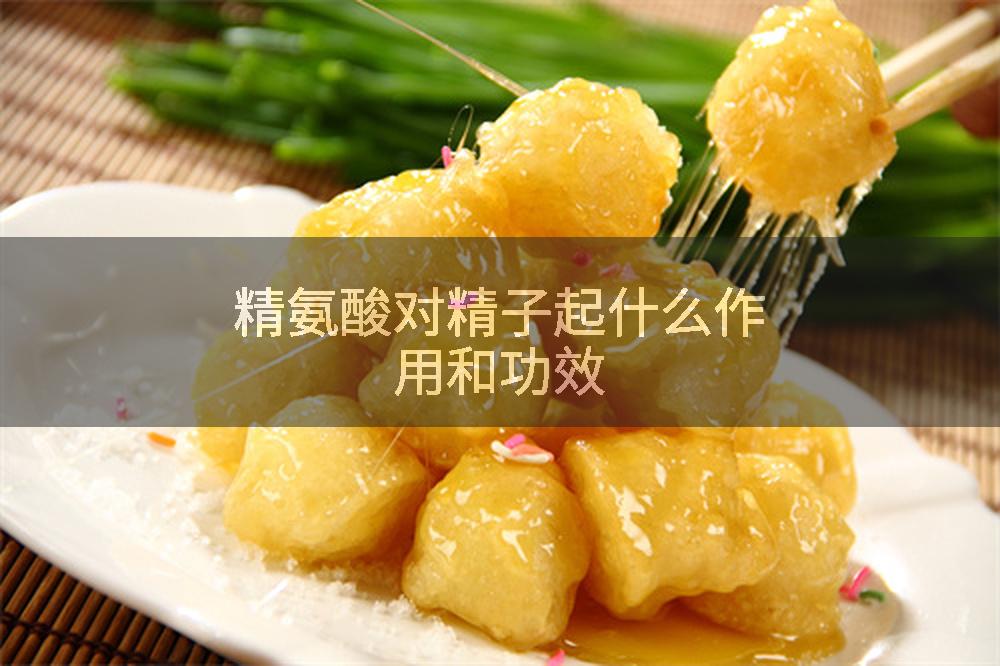 精氨酸对精子起什么作用和功效